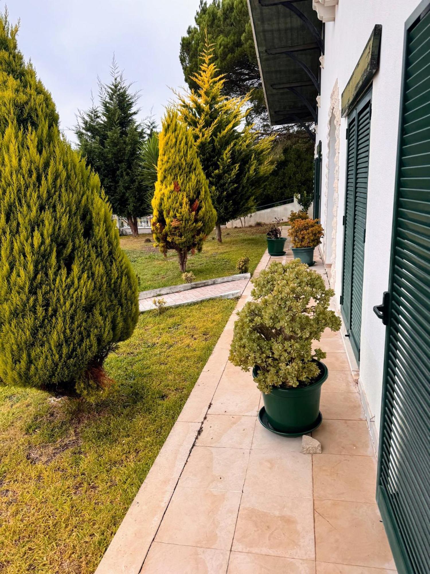 Leiria Side Exterior foto